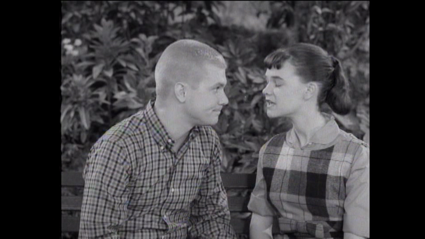 The Many Loves Of Dobie Gillis: S1 E23 - The Chicken From Outer Space