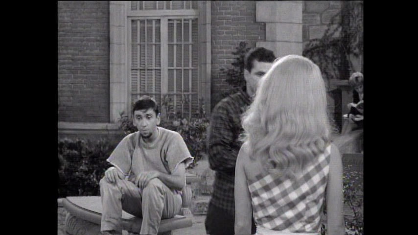The Many Loves Of Dobie Gillis: S4 E2 - What's A Little Murder Between Friends?