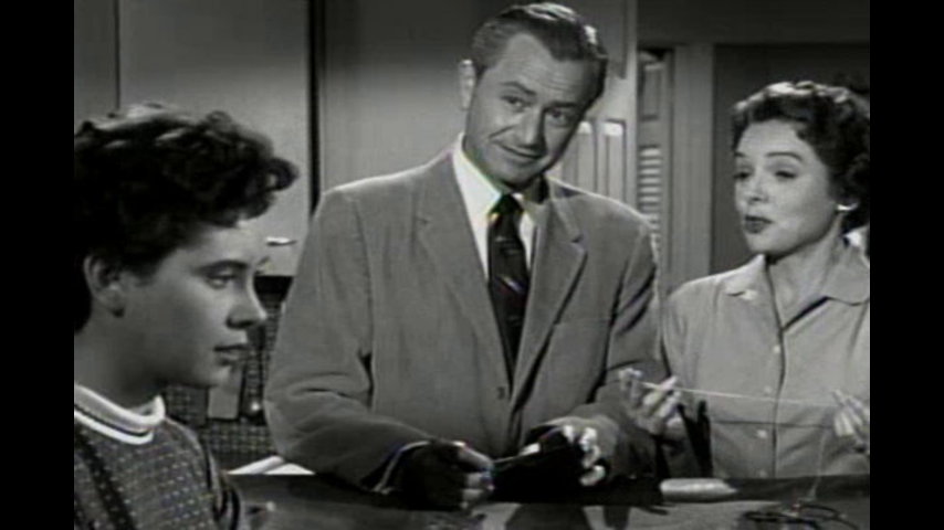 Father Knows Best: S5 E1 - Vine Covered Cottage