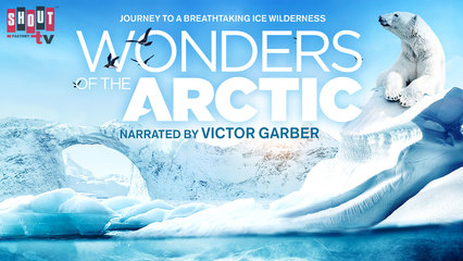 Wonders Of The Arctic