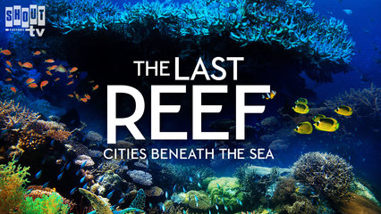 The Last Reef: Cities Beneath The Sea - Trailer