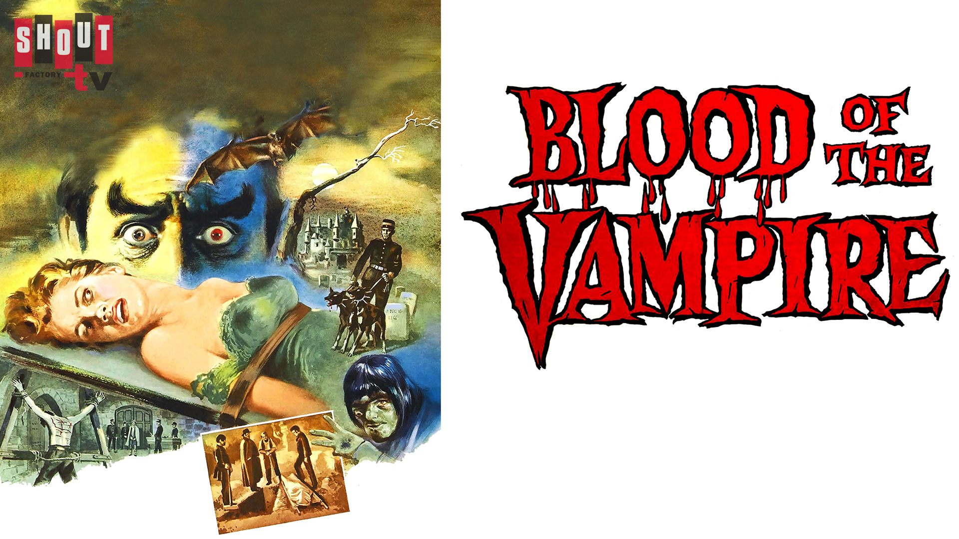 Blood Of The Vampire